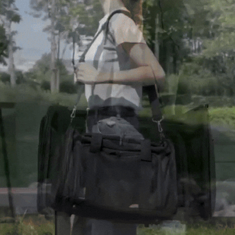 AirPaws - Airline approved dog carrier