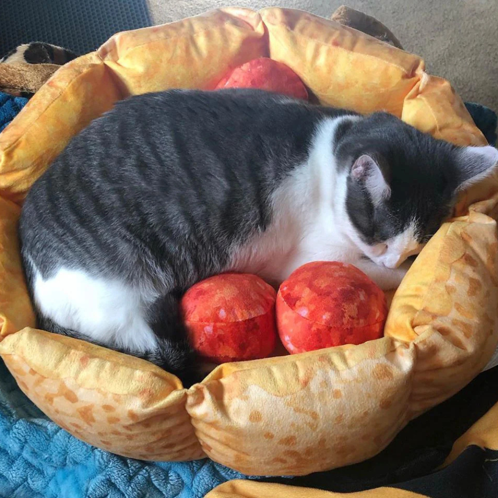 Cat Pizza Bed | Bed for a Cat