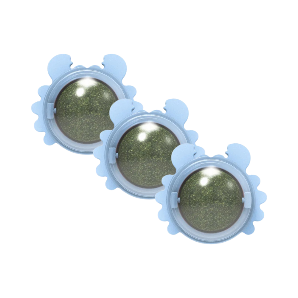 Catnip Snack Ball Catnip Ball Boosts Energy & Reduces Stress