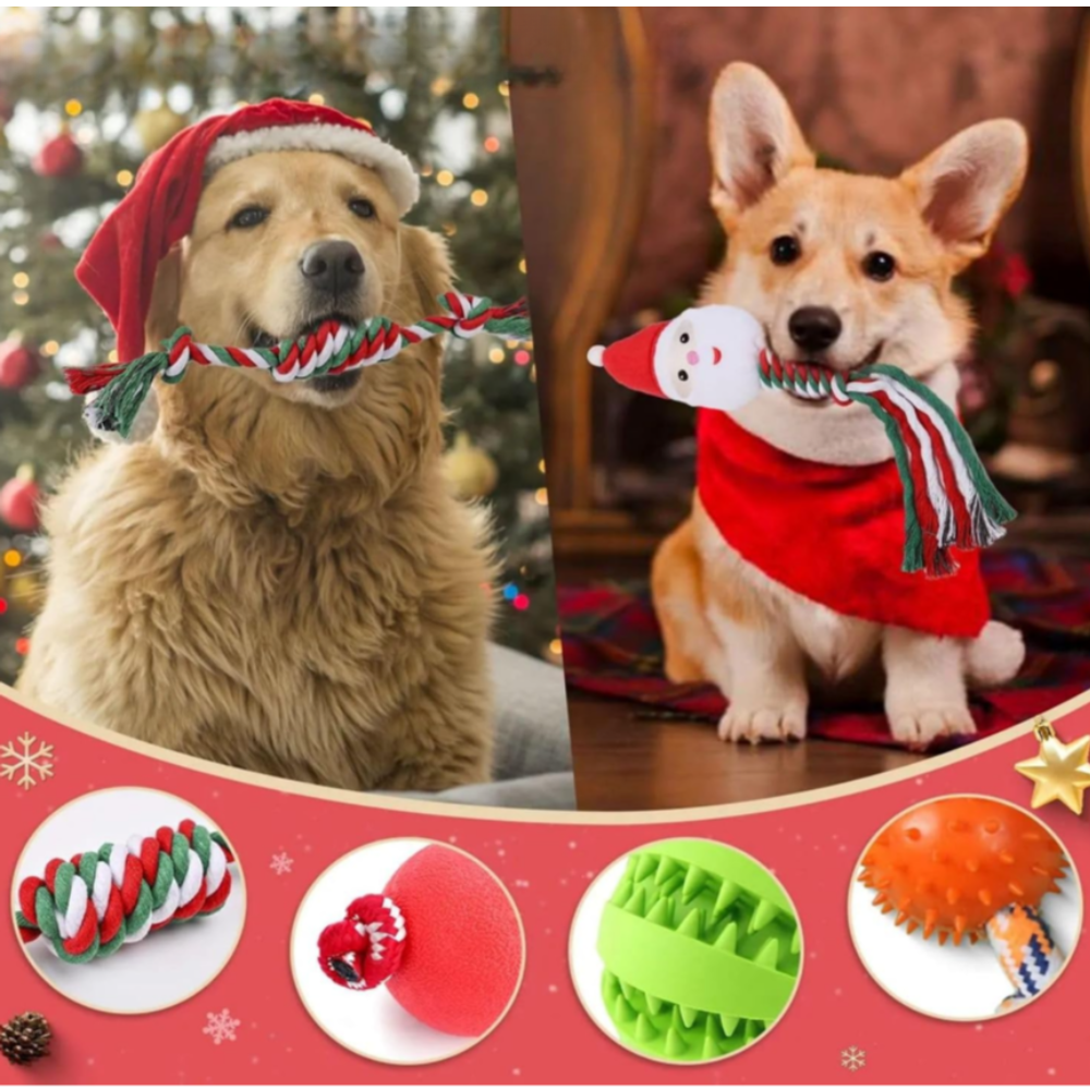 24-Day Dog Advent Calendar | Interactive Christmas Toy