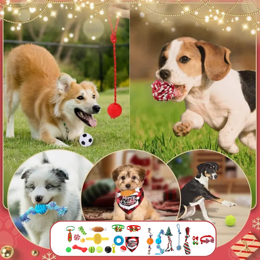 24-Day Dog Advent Calendar | Interactive Christmas Toy