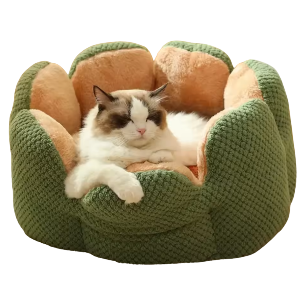 Cat Flower Bed | Sleeping Place