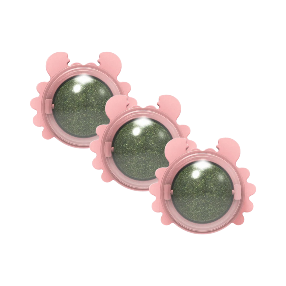 Catnip Snack Ball Catnip Ball Boosts Energy & Reduces Stress