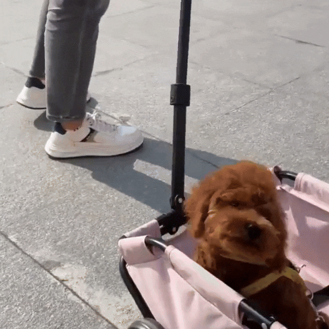 PawCruze - Mini Pet Stroller