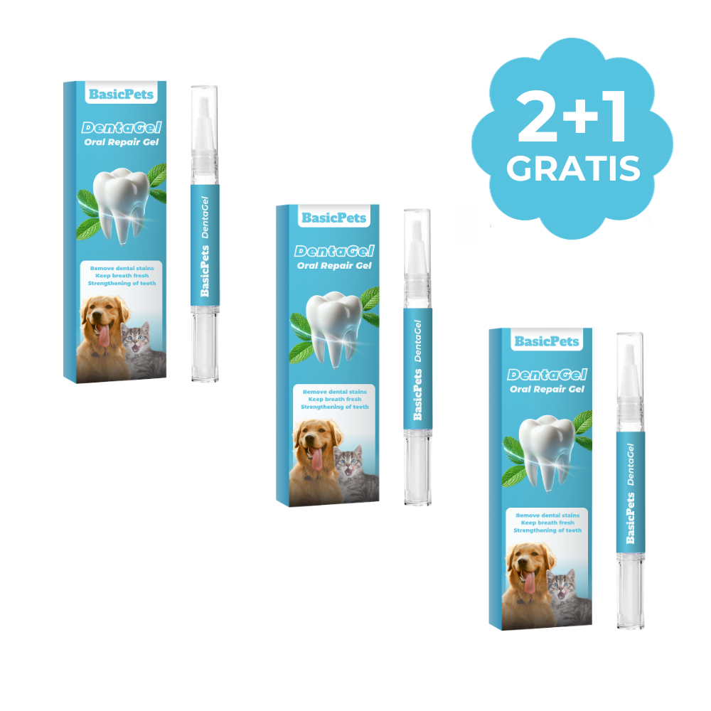 Natural Dental Care for Dogs Healthy Teeth, Fresh Breath with Natural Ingredients