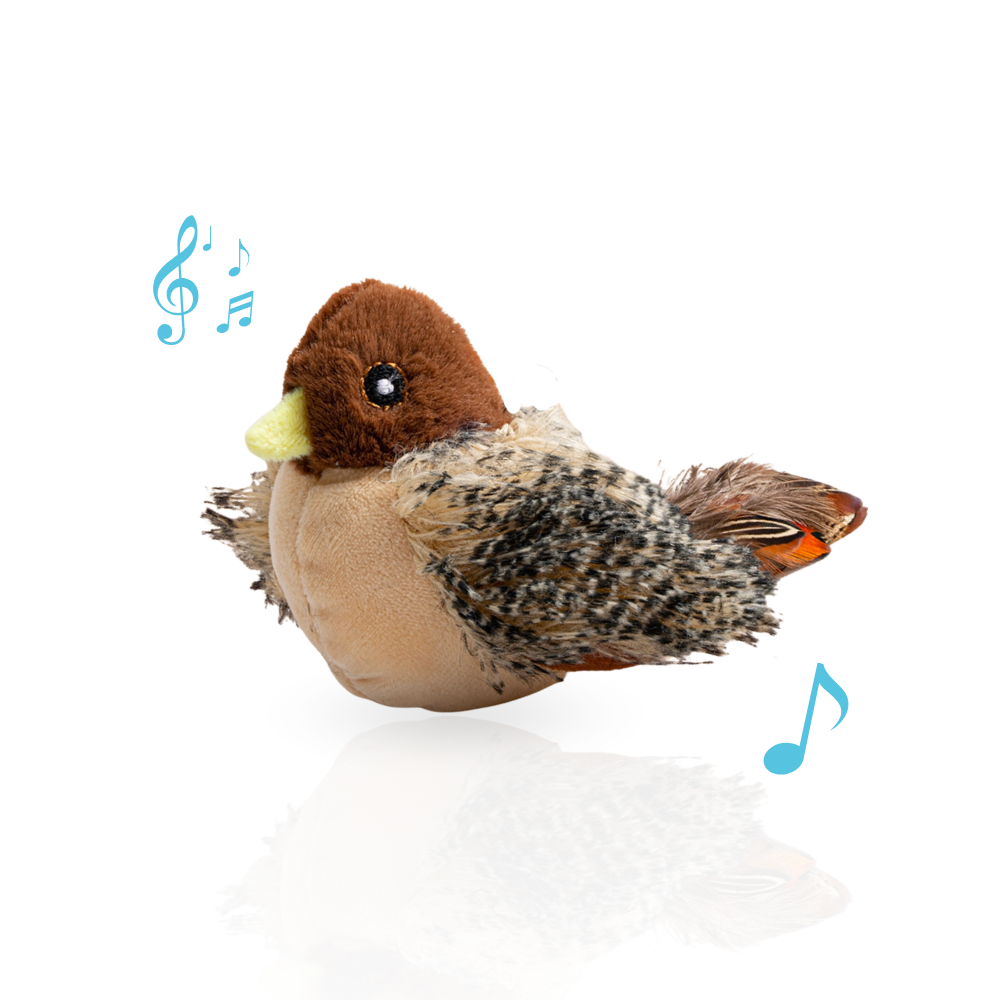 Interactive Cat Toy Moving & Chirping Bird Toy, USB Rechargeable