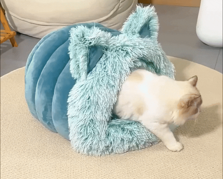 Cat Ears Bed | Bed for a Cat