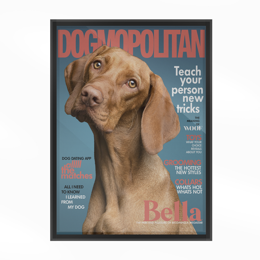 Plakat des Haustiermagazins