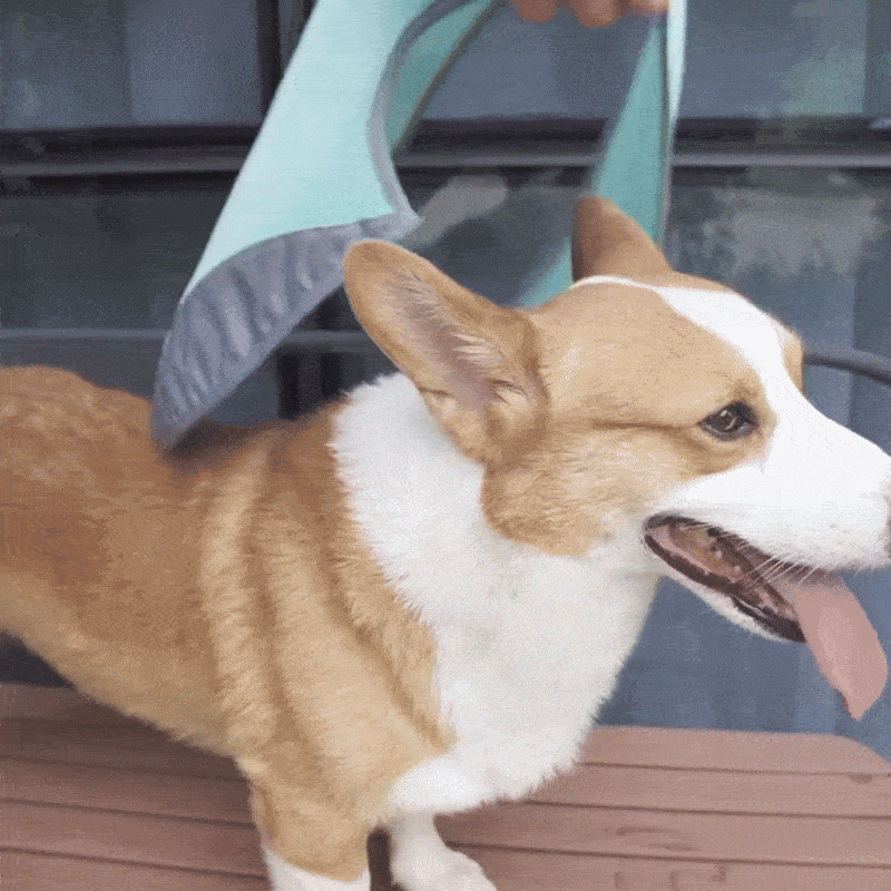 FrostVest - Dog cooling vest