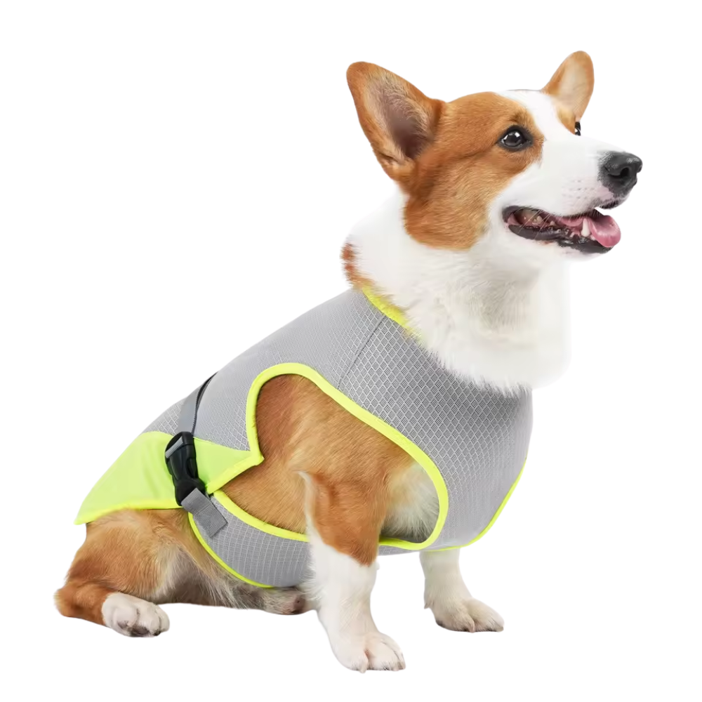 FrostVest - Dog cooling vest
