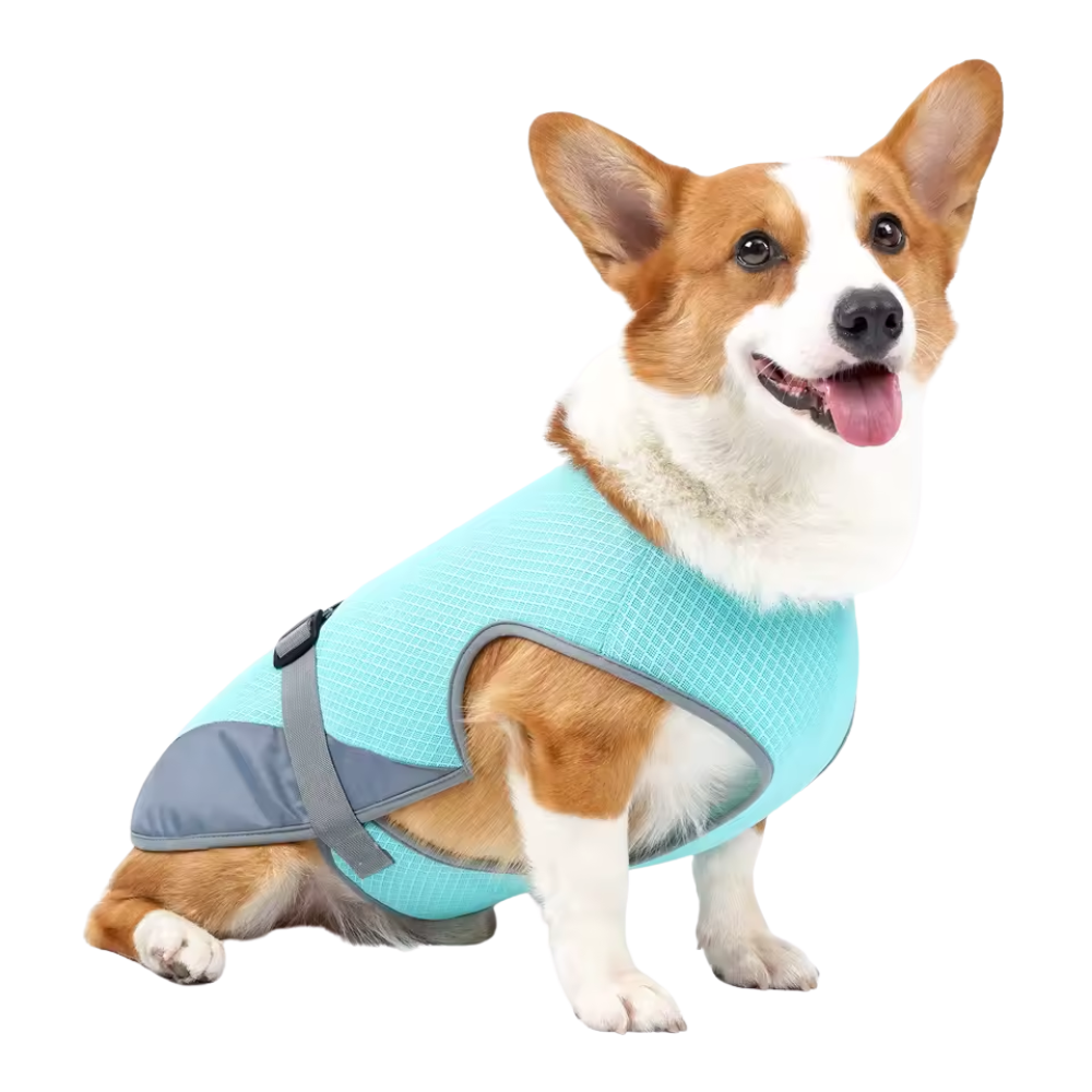 FrostVest - Dog cooling vest