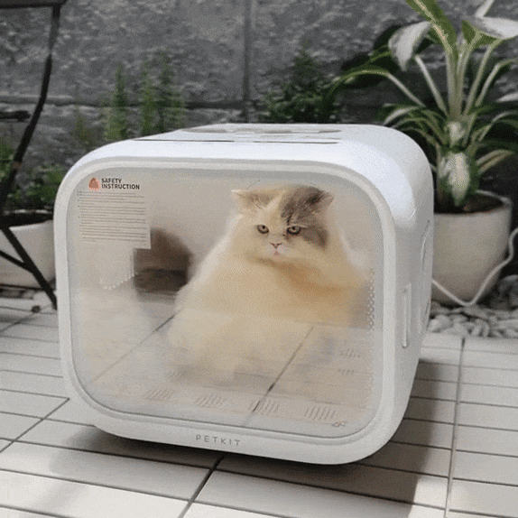 Pet Dryer Quiet Hands-Free Drying Cabin for Dogs & Cats