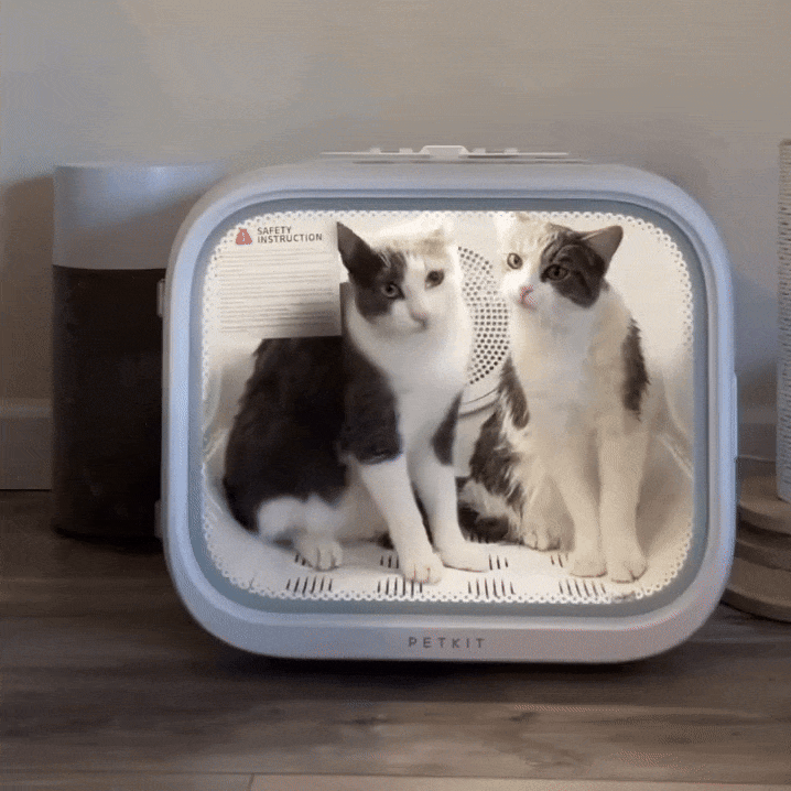 Pet Dryer Quiet Hands-Free Drying Cabin for Dogs & Cats