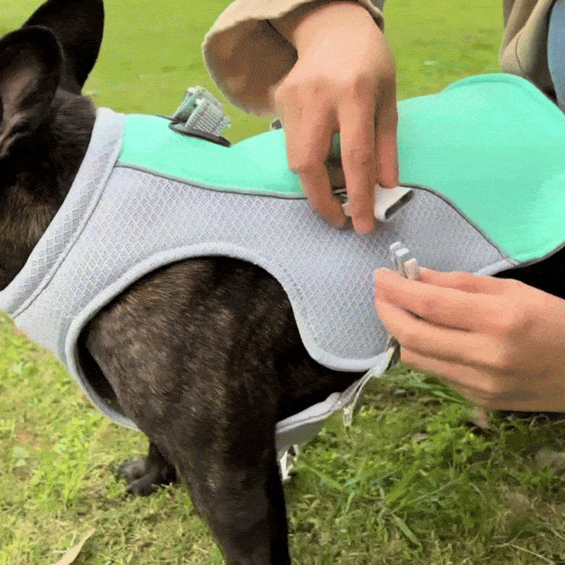 PupChill - Dog Cooling Vest