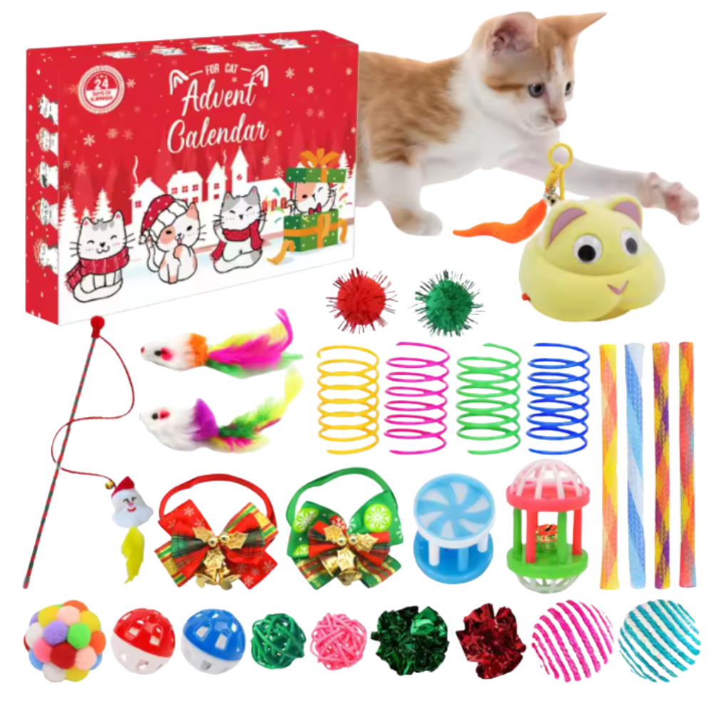 24-Day Catvent | Interactive Holiday Toys