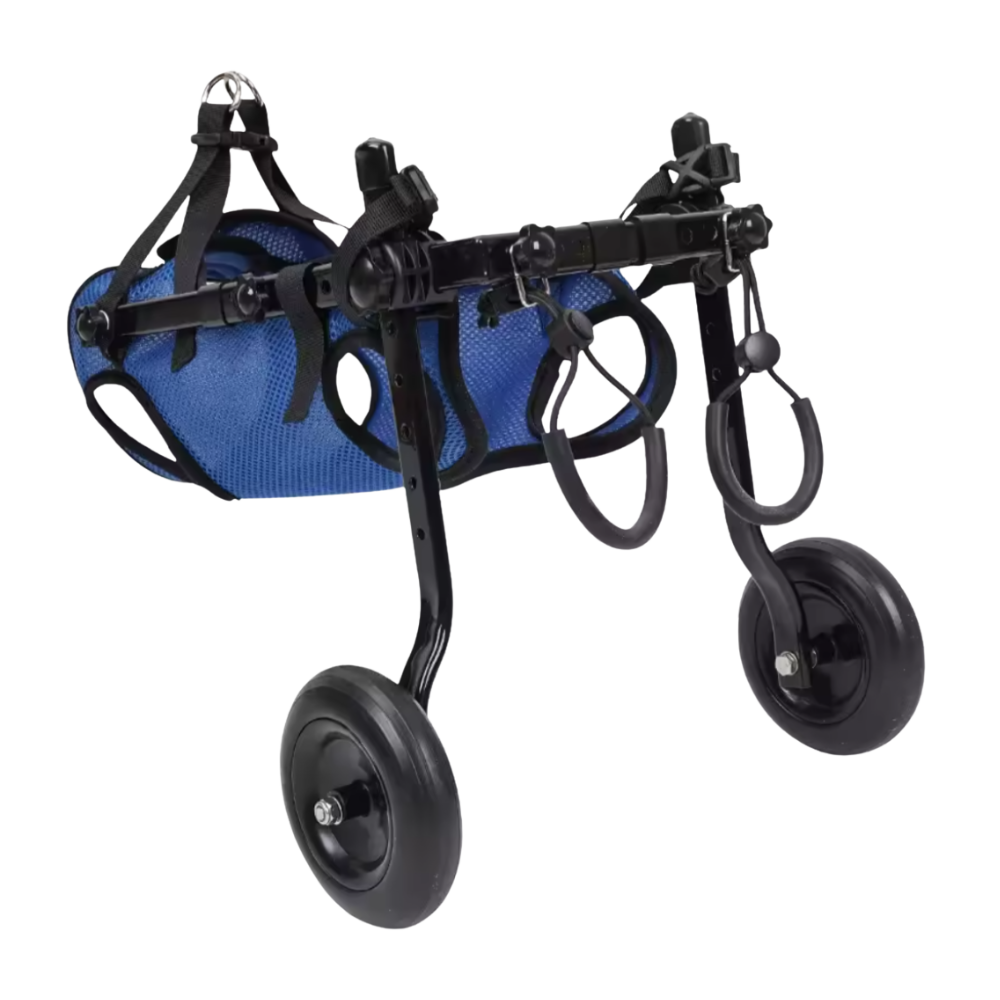 Adjustable Dog Wheelchair for Injured or Disabled Dogs – Lightweight & Vet-Approved