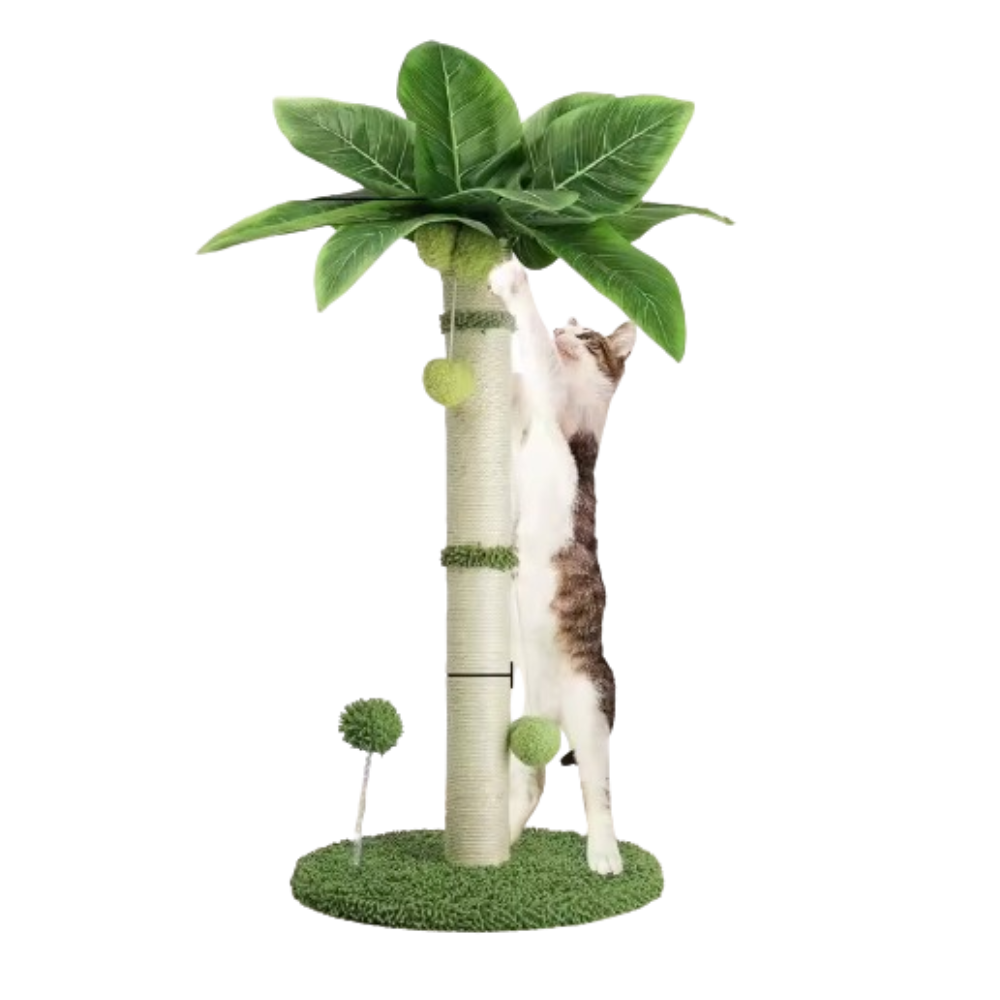 Cat Tree Scratching Post Made of Coconut Rope Durable Compact Cat Tree - PawHaven