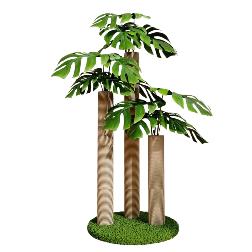 Kattenboom Modern En Schattig | Krasvriendelijk