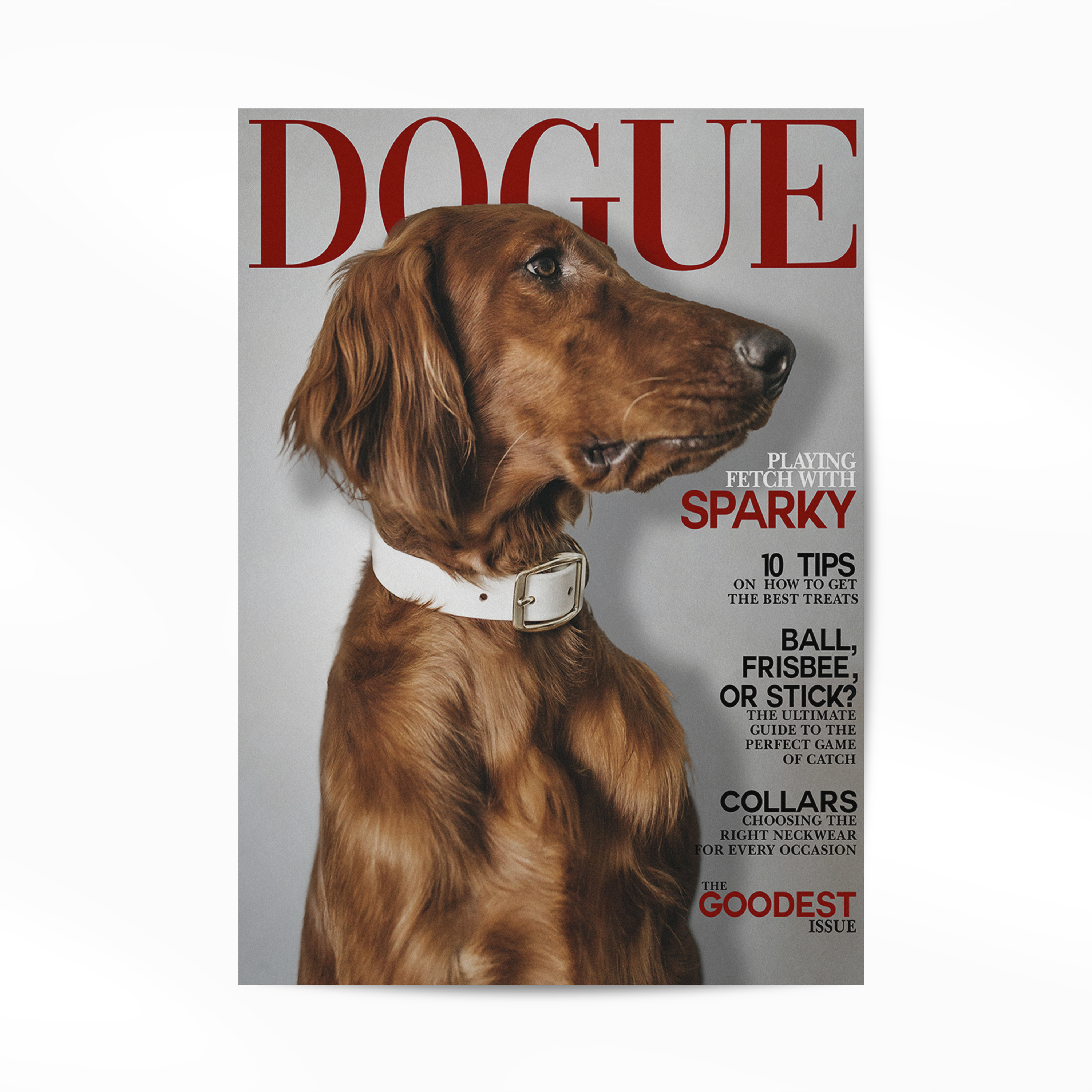 Plakat des Haustiermagazins