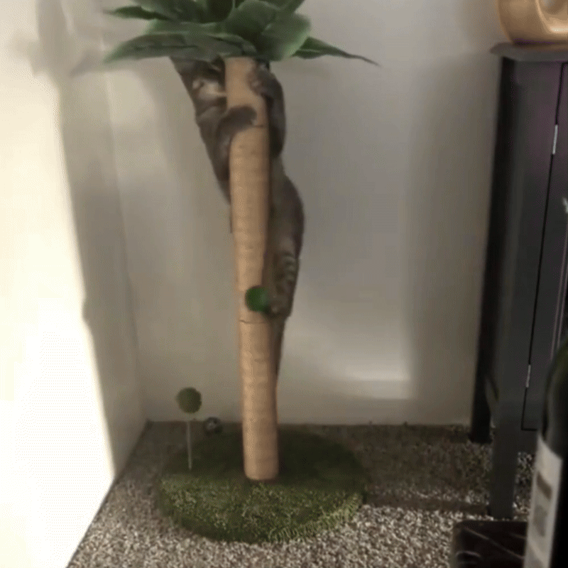 Cat Tree Scratching Post Made of Coconut Rope Durable Compact Cat Tree - PawHaven