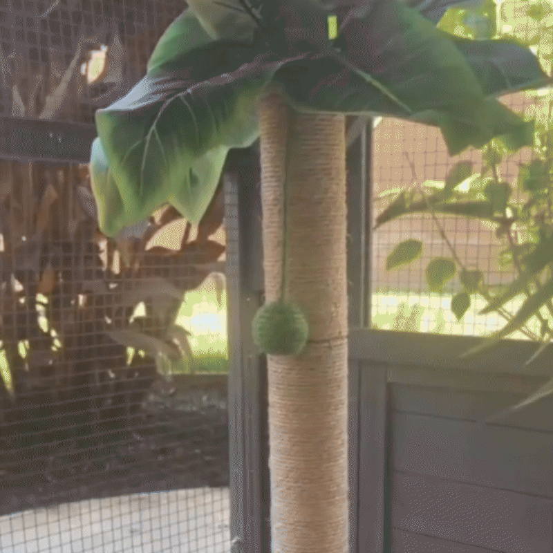 Cat Tree Scratching Post Made of Coconut Rope Durable Compact Cat Tree - PawHaven