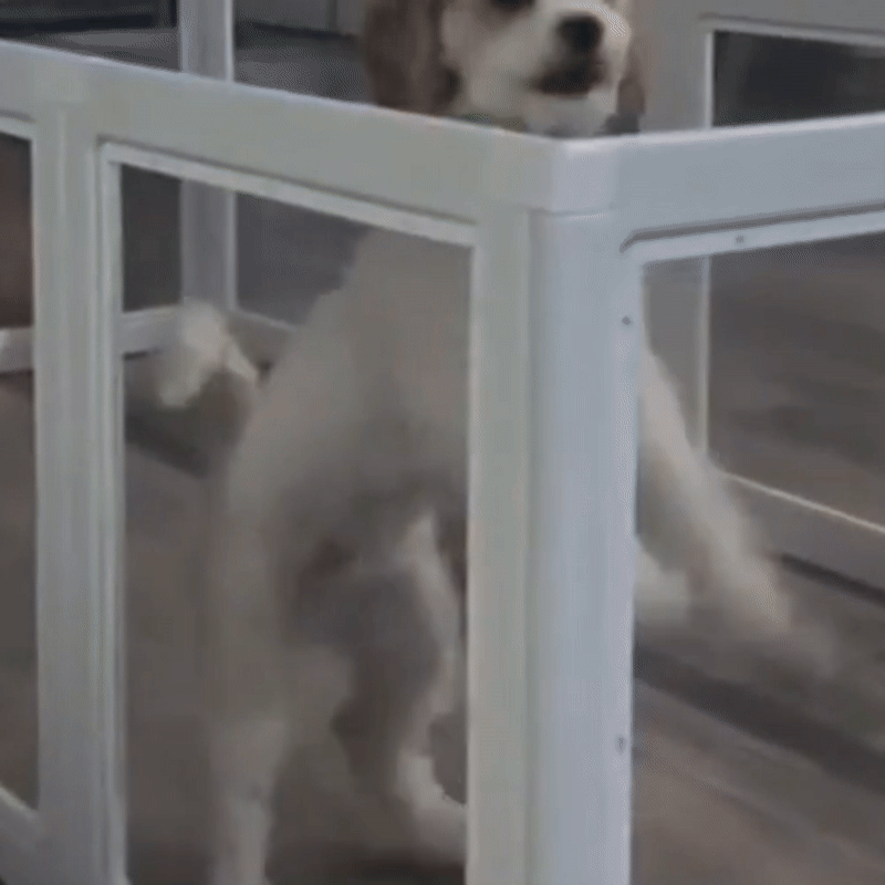SafeDen - Dog pen