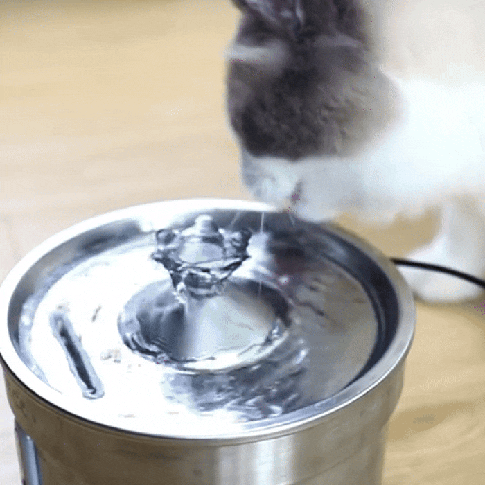 Stainless Steel Cat Water Fountain with Filter - Quiet 3.2L Drinking Bowl for Hydrated Cats