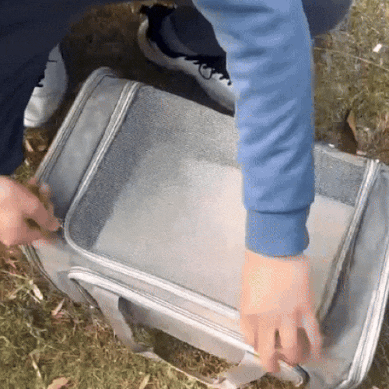 AirPaws - Airline approved dog carrier