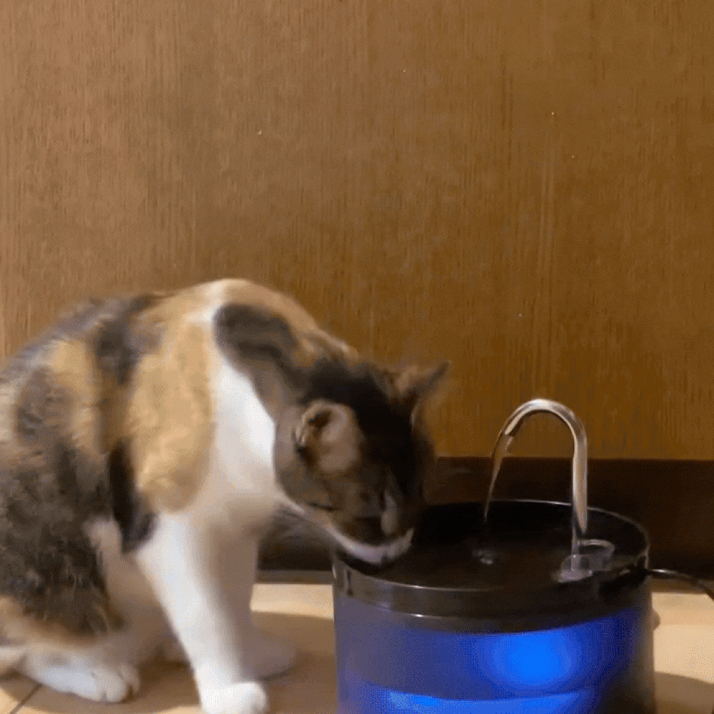 PuriFlow ™ - Cat water fountain