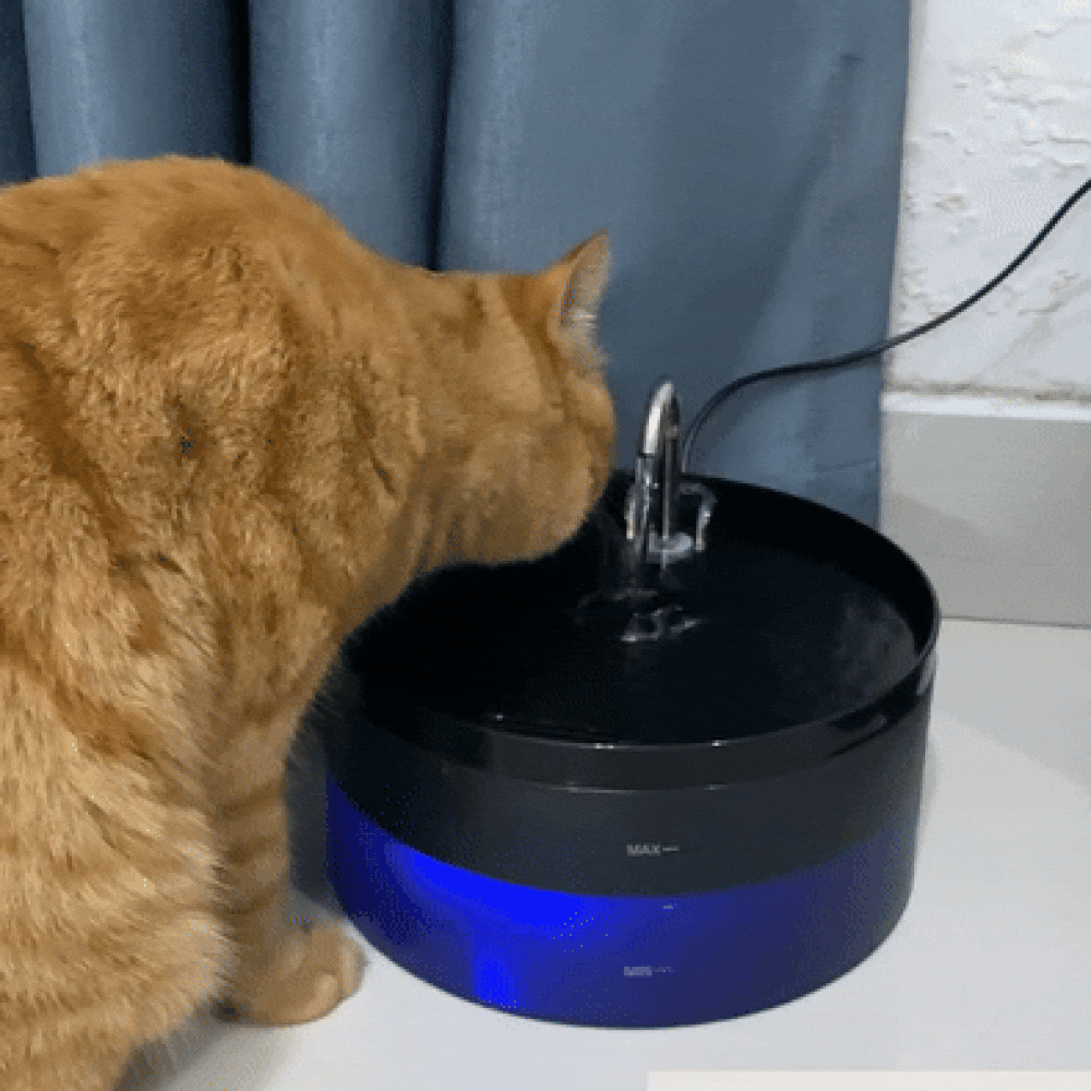 PuriFlow ™ - Cat water fountain