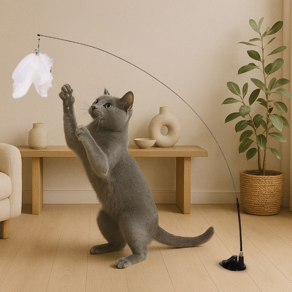 CatPlay™ - Interaktives Katzenspielzeug