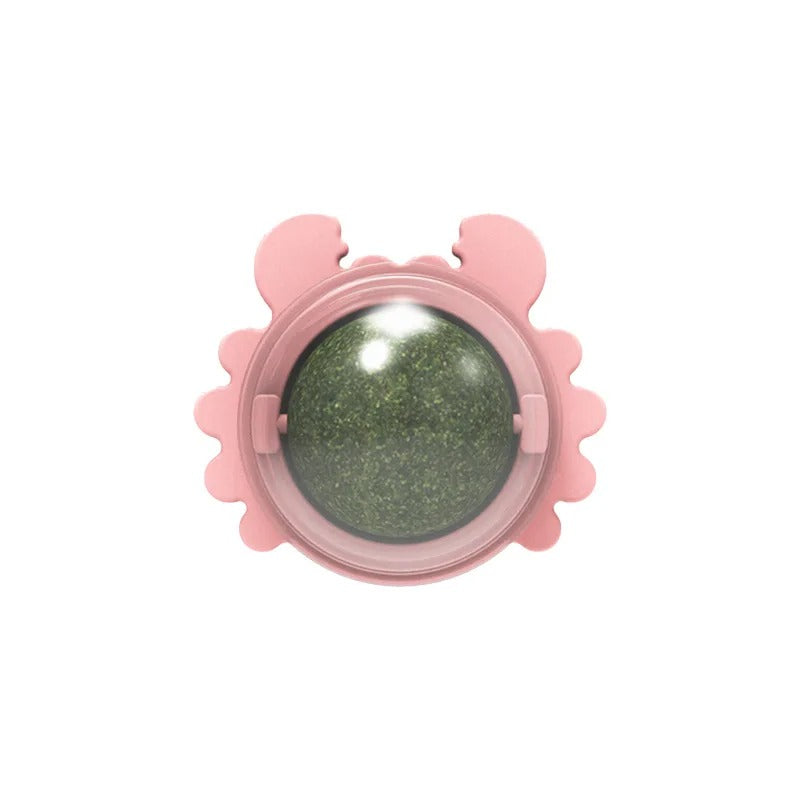Catnip Snack Ball Catnip Ball Boosts Energy & Reduces Stress