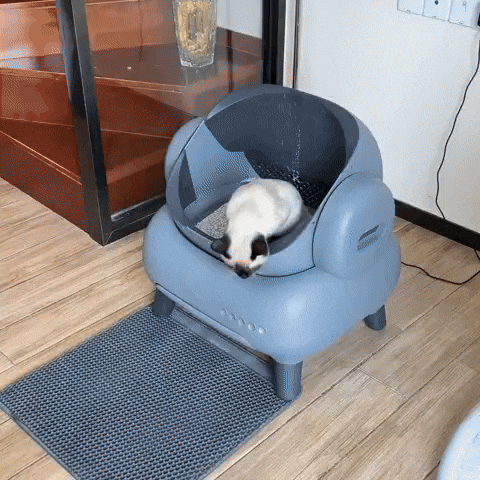 MeowMatic Litter Robot 4 – Smart Self-Cleaning Litter Box with App Alerts & Odor Control