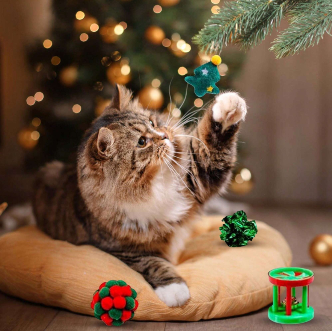 Catvent Calendar | 24 Pieces Christmas Toys for Cats