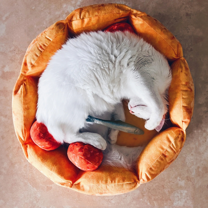 Cat Pizza Bed | Bed for a Cat