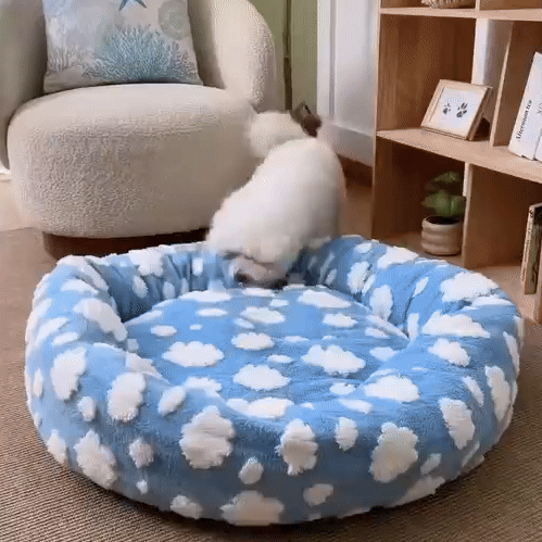 Cat Donut Bed | Bed for Cats and Small Dogs