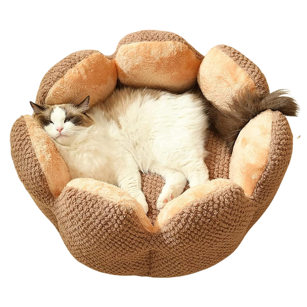 Cat Flower Bed | Sleeping Place