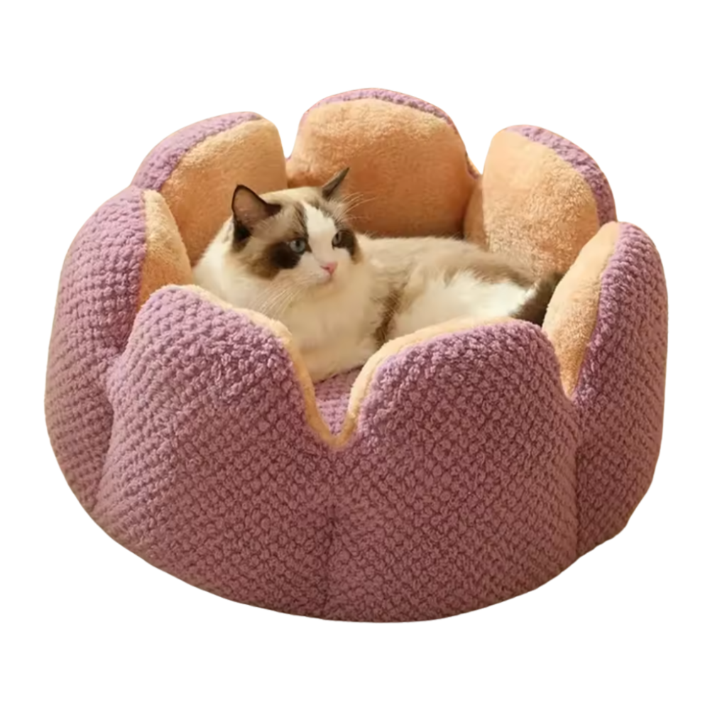 Cat Flower Bed | Sleeping Place