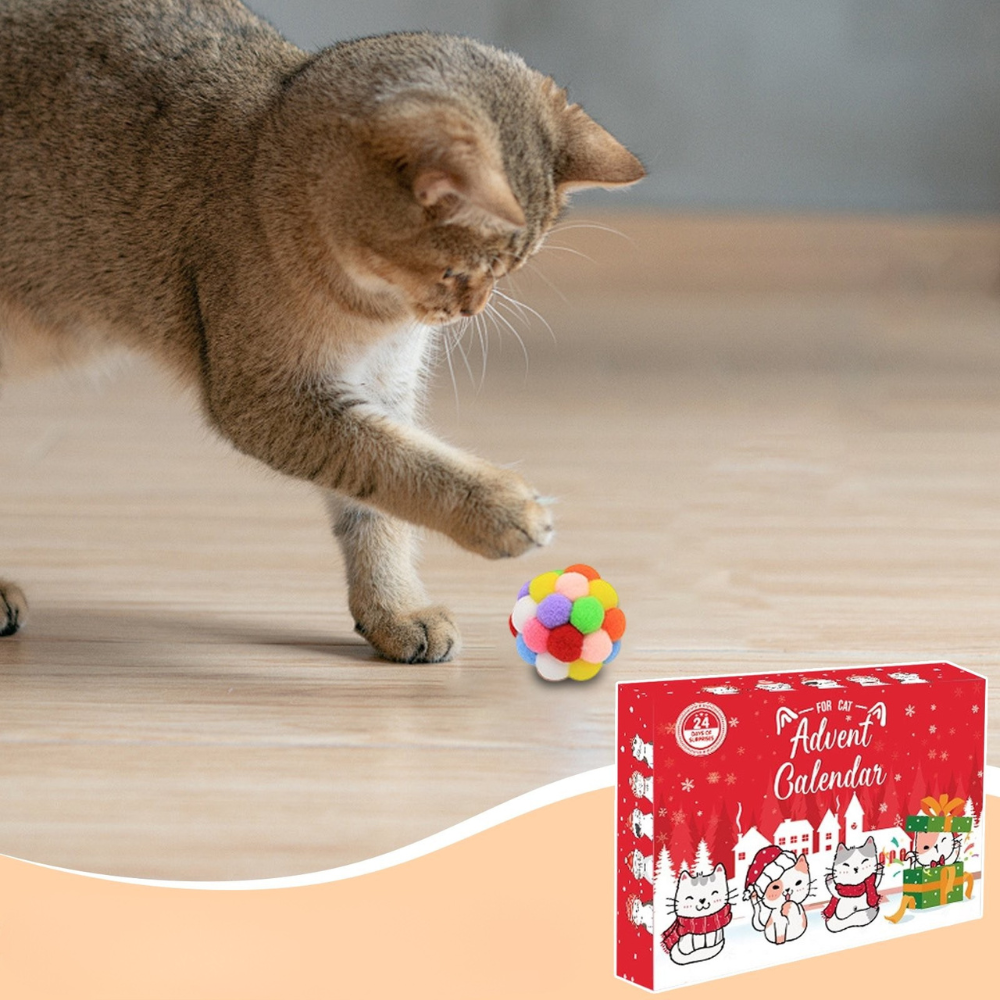 24-Day Catvent | Interactive Holiday Toys