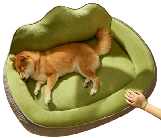 Orthopedic Dog Bed | Washable for Large Dogs