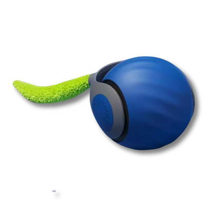 CrazyTail™ - Interactive Cat Ball 