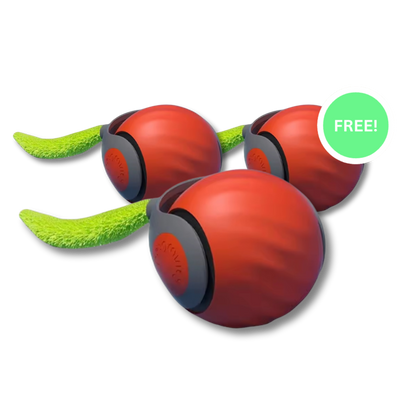 CrazyTail™ - Interactive Cat Ball 