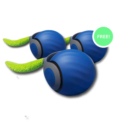 CrazyTail™ - Interactive Cat Ball 