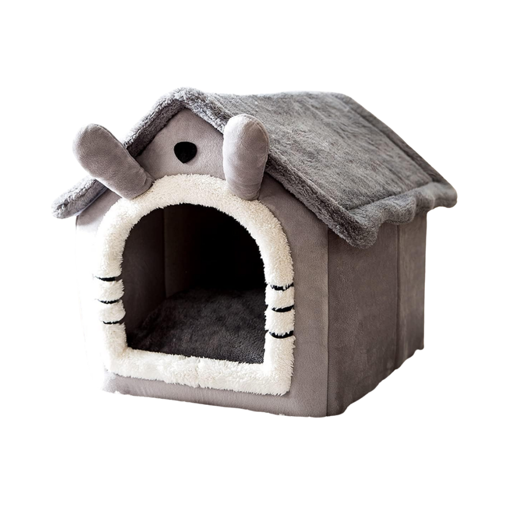Kat Knus Huis | Binnen