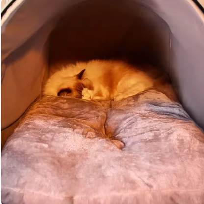 Draagbaar Kattenhuis Bed | Met Afneembaar Kussen