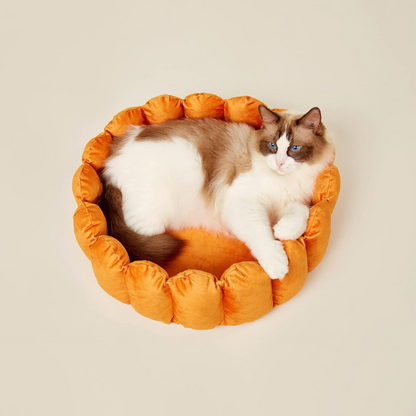 Cat Plush Bed | Bed for a Cat