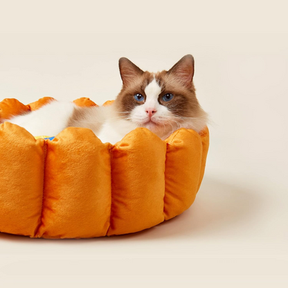 Cat Plush Bed | Bed for a Cat