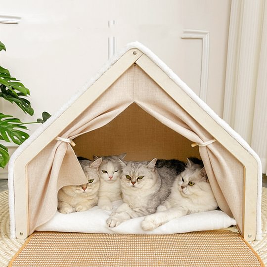 Katten Grote Binnenwoning | Krabvriendelijk