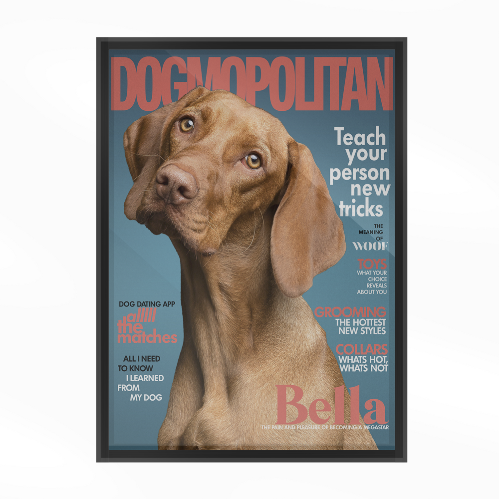 Pet Magazine Poster