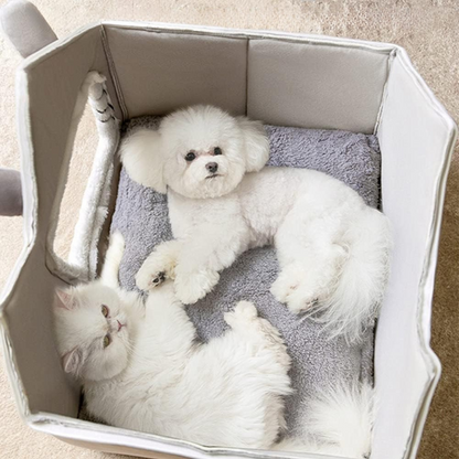 Katten Pluche Huis | Binnen